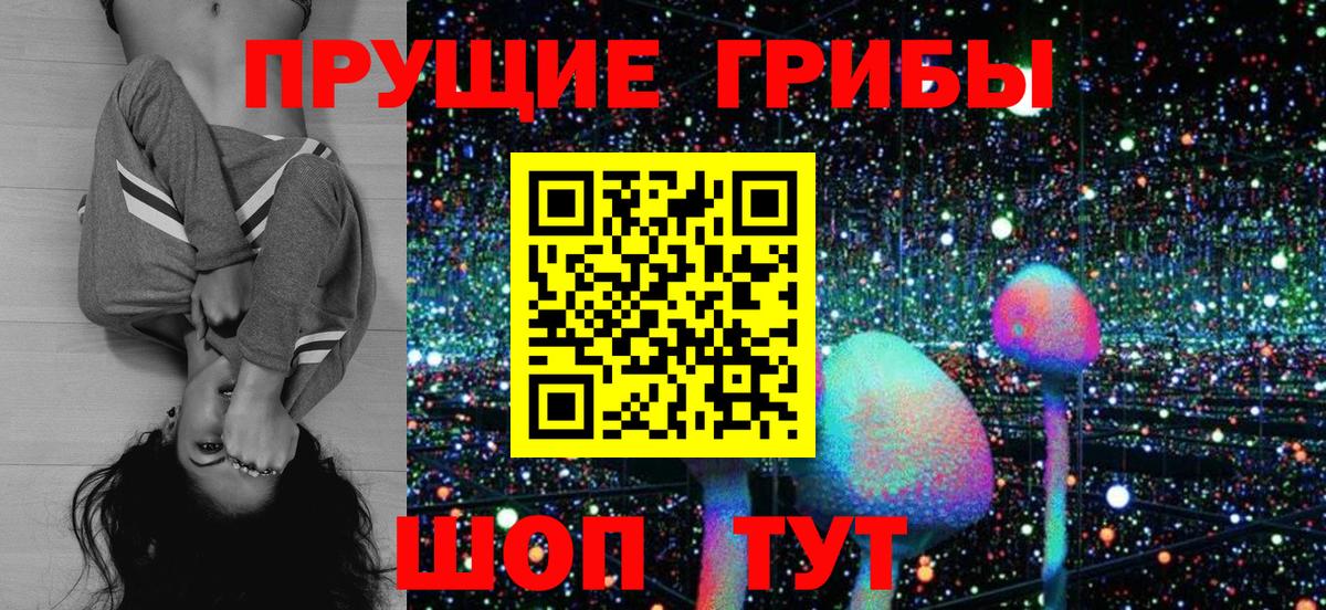 Галлюциногенные грибы GOLDEN TEACHER  Вход с VPN  Заводоуковск 